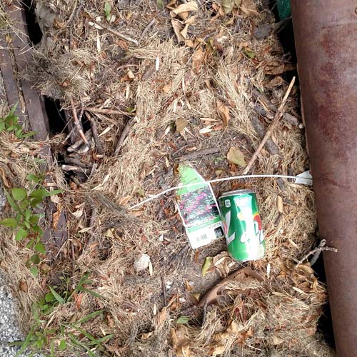 Alliance Sweeping - trash