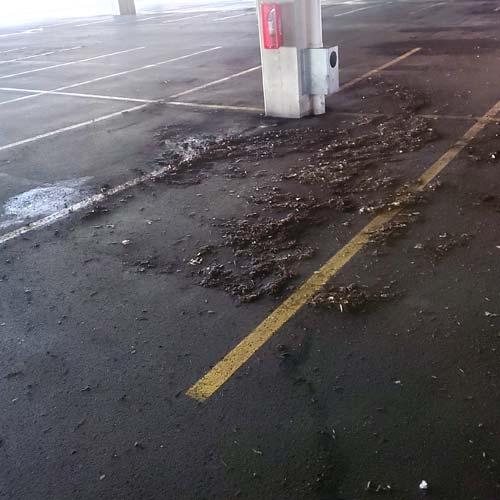 alliance garage sweeping services